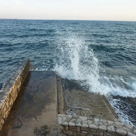 Slavica * Novigrad Istria