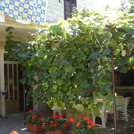 Apartment Slavica *