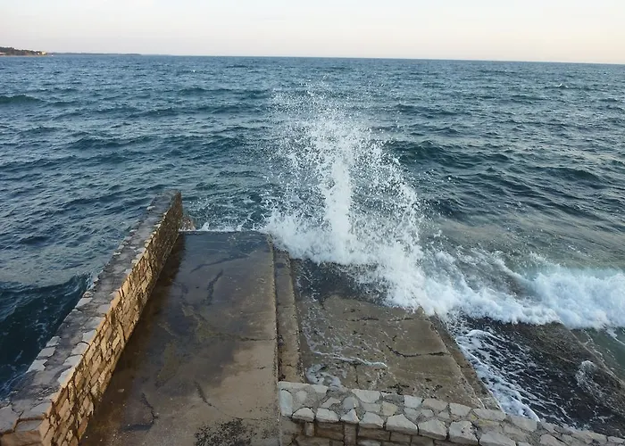 Slavica * Novigrad Istria